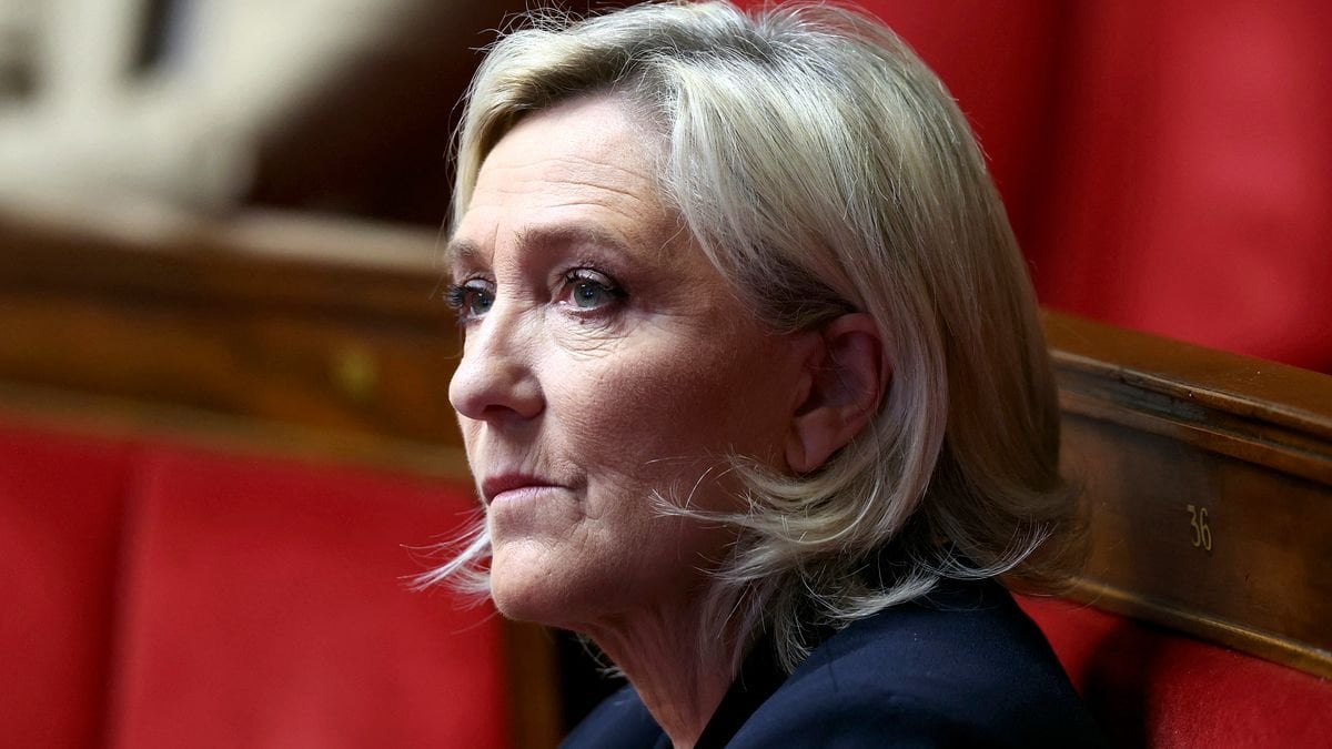 Marine Le Pen und Rechtsextremismus: Niemand würde ein milderes Urteil für einen korrupten Linken fordern