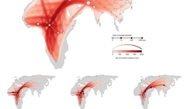 [OC] Animated genetic map reveals how human ancestors migrated across continents over thousands of years