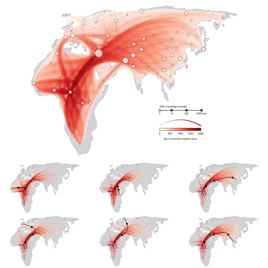 [OC] Animated genetic map reveals how human ancestors migrated across continents over thousands of years