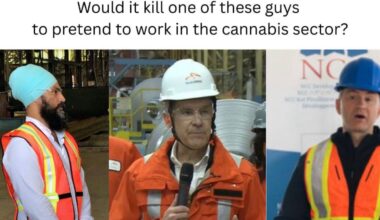 Oh Cannabis, why not Canada first? 
