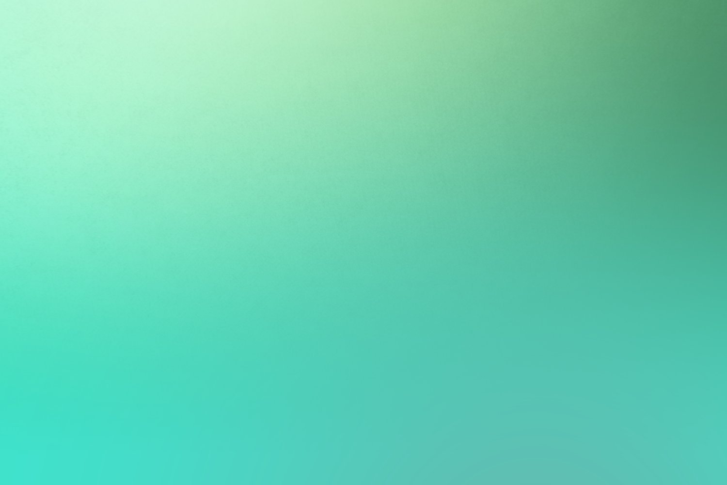 Olo