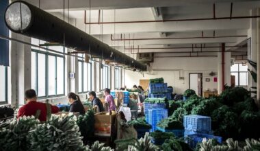 Trump’s Trade War Is Strengthening China’s Soft Power