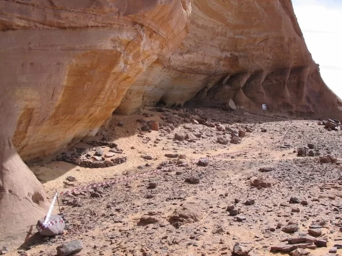 A Human Lineage Lived Isolated in the Center of the Sahara When It Was a Green Area 7,000 Years Ago