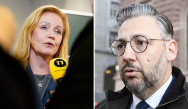 Elisabeth Thand Ringqvist pekas ut som partiledarfavorit i C