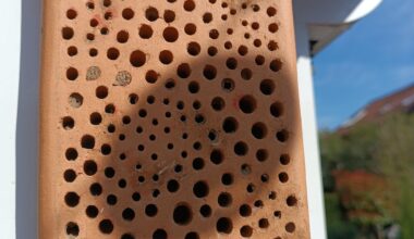 Bin ich ein Wildbienentöter?