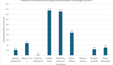 [OC] NYC Mayoral Preferences Among Unemployed Campaign Donors