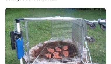 Bargain
