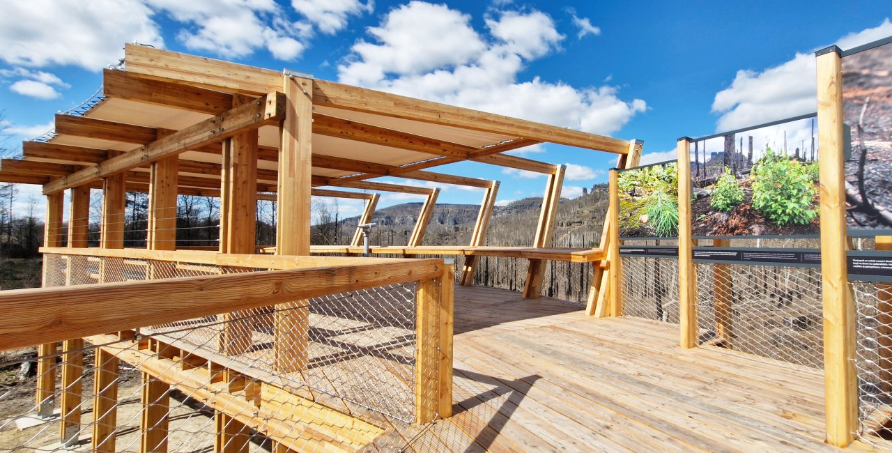 New lookout platform in Bohemian Switzerland showcases fire recovery