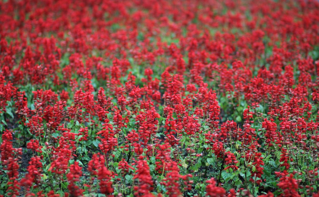 Bulgaria: Weekend Weather in Bulgaria: Showers Followed by Sunshine and Warmer Days