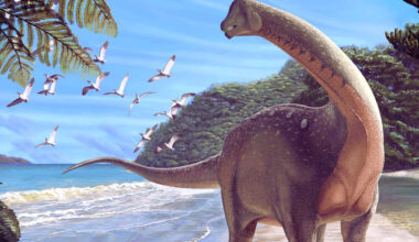 Bulgaria: Bones of a Titanosaur Found Near Tran: Evidence of Giant Dinosaurs in Bulgaria