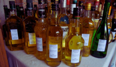 Bulgaria: Bulgaria Outpaces EU in Spirit Exports, Wine Plays Key Role