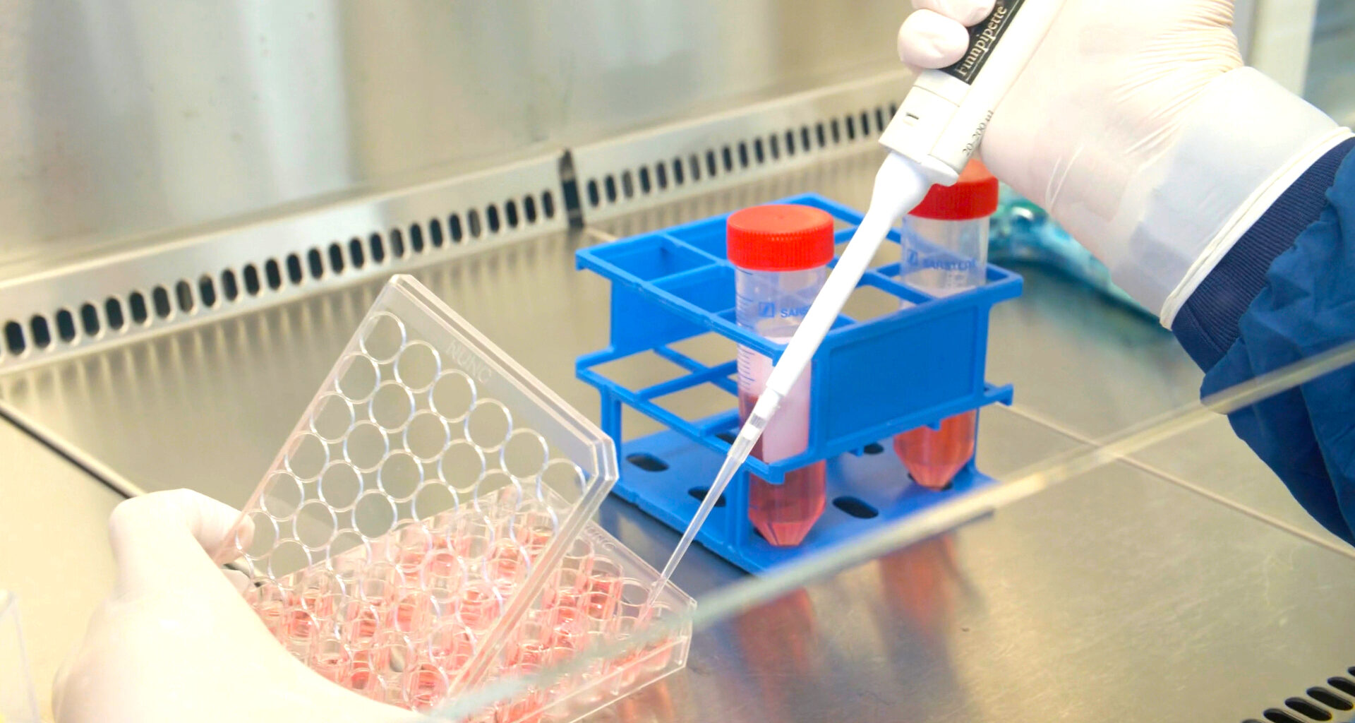 Poliovirus-essential facility in Belgium awarded world’s first Certificate of Containment – GPEI