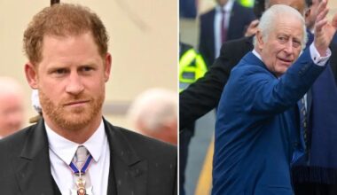 Prince Harry 'Doesn't Know' King Charles' Cancer Prognosis: Expert