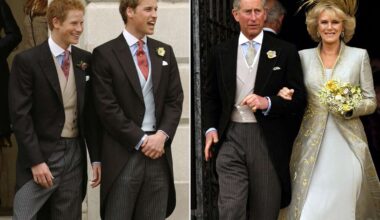 Prince Harry, Prince William 'Pleaded' with Charles Not to Marry Camilla