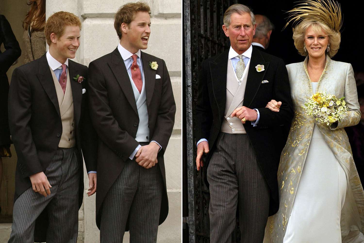 Prince Harry, Prince William 'Pleaded' with Charles Not to Marry Camilla