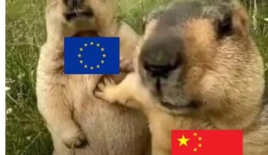 Thank you mr Xi, very cool!