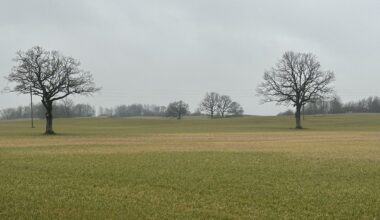 Seasonal lack of seasonal workers in Latvia / Article