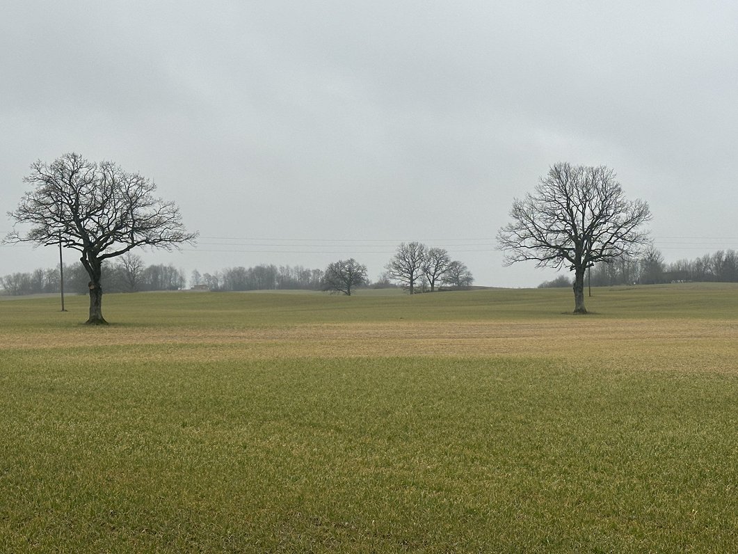Seasonal lack of seasonal workers in Latvia / Article
