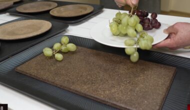 Edible berry dishes created in Latvia / Article