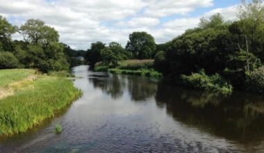 River Teifi is UK's fifth most sewage polluted river
