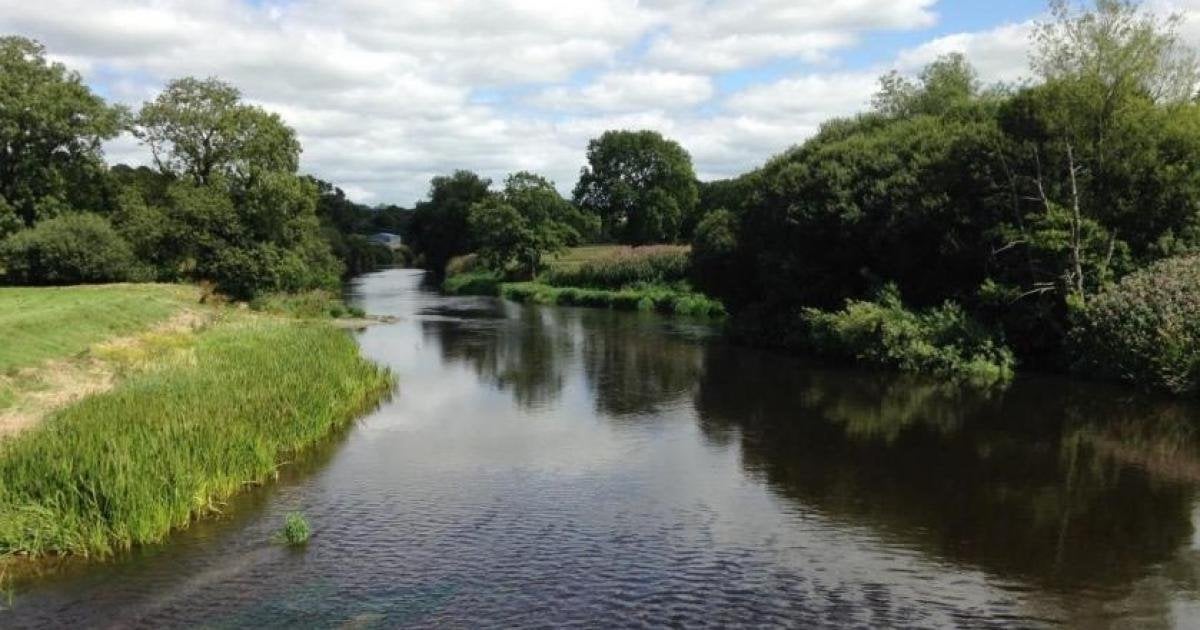 River Teifi is UK's fifth most sewage polluted river