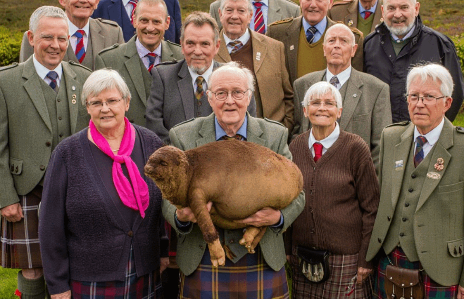 Happy International Wild Haggis Animal Awareness Day