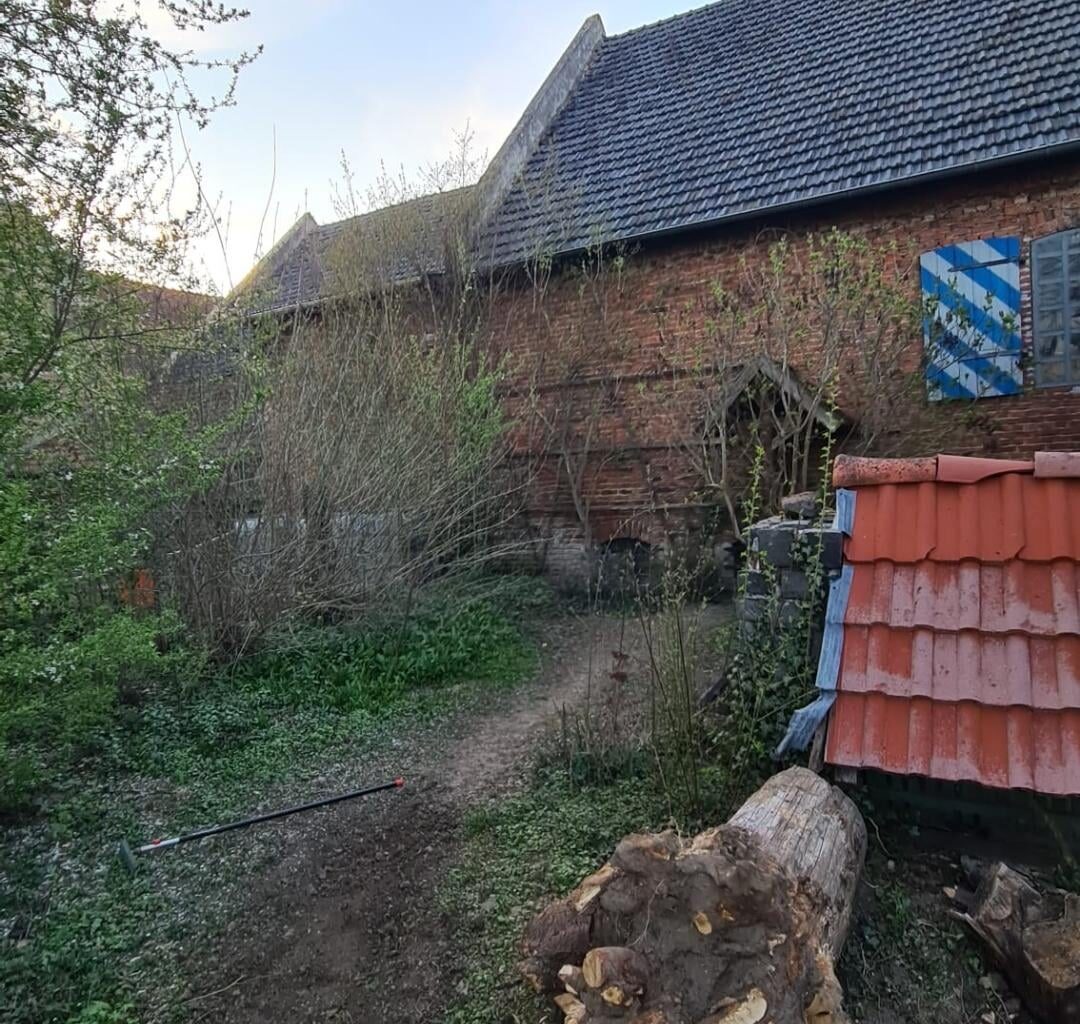 Gerne Vorschläge für den Garten.