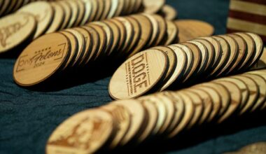 DOGE’s IRS cuts will cost the average American a fortune