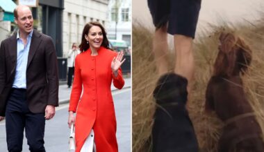 Did Kate Middleton and Prince William Get a New Puppy?