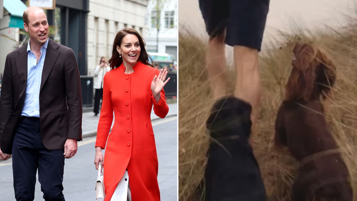 Did Kate Middleton and Prince William Get a New Puppy?