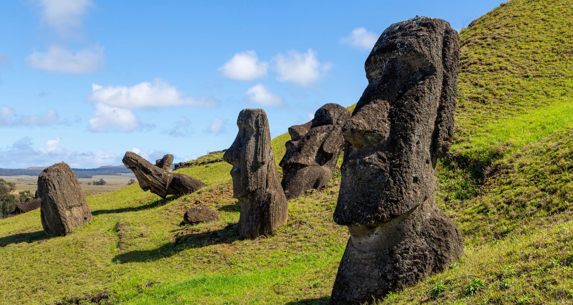 Stone moai statues of Rapa Nui stand partially buried
