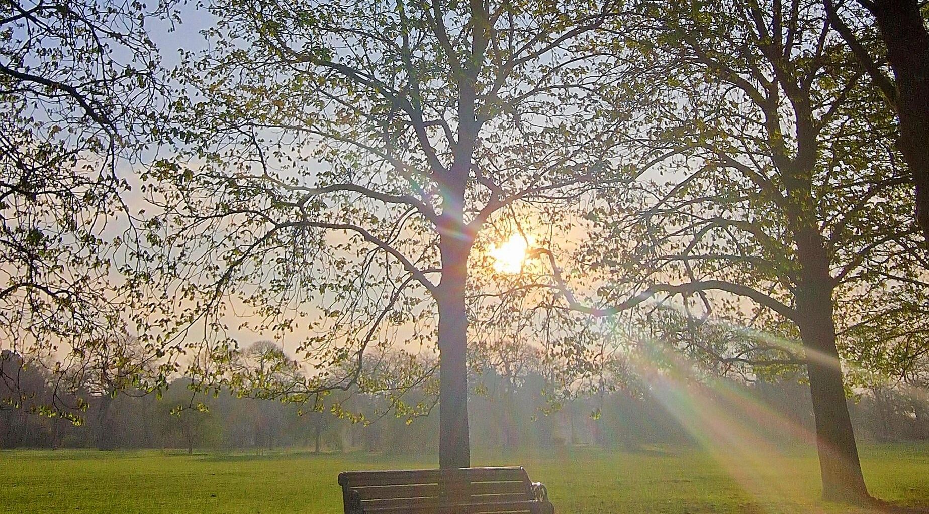 Spring mornings in Greenwich Park can be a real treat