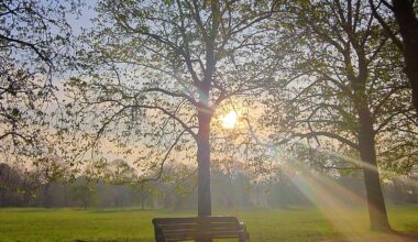 Spring mornings in Greenwich Park can be a real treat