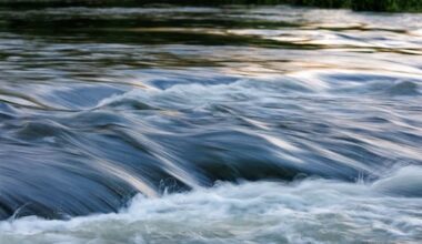 Man missing after falling into fast-flowing Waikato river