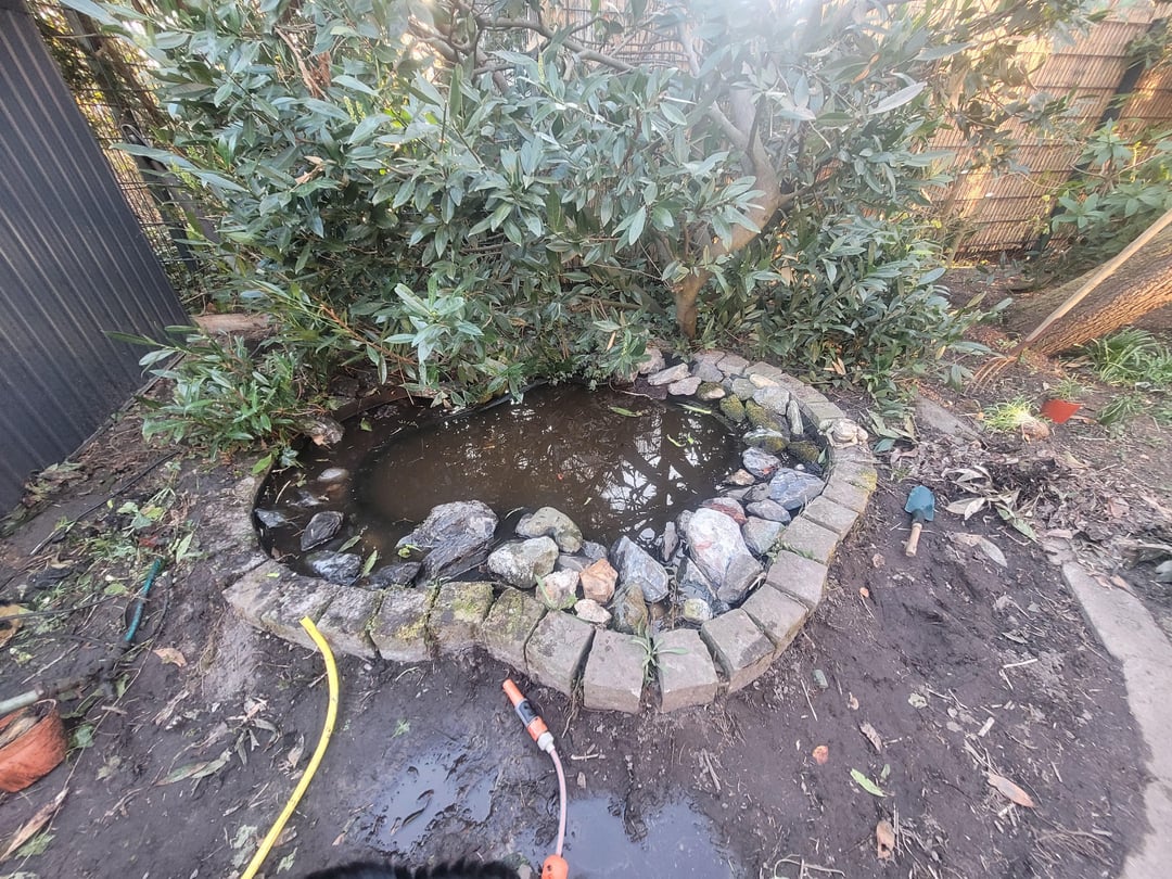 Teich mit Molchen auf Vordermann bringen