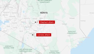 Lion kills 14-year-old girl outside Kenya’s Nairobi National Park