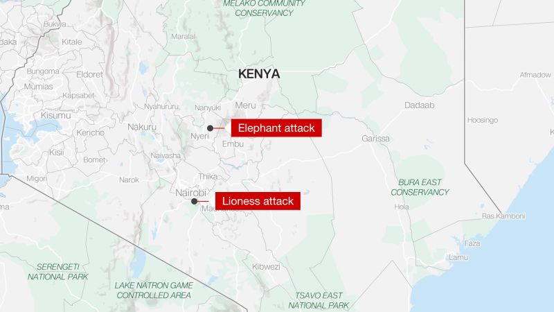 Lion kills 14-year-old girl outside Kenya’s Nairobi National Park