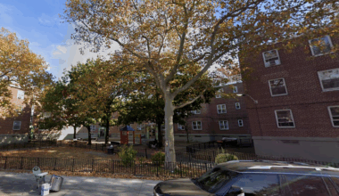 Brooklyn Projects Among Winners of NYCHA Climate Action Grants