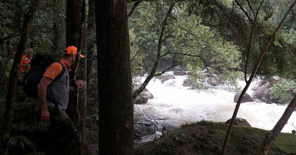 Body of man recovered by searchers near Wairere Falls