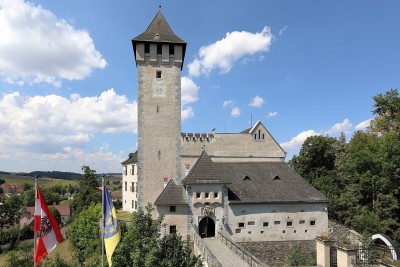 Tri-national Military Exercise in Austrian Allentsteig with Almost 1,000 Swiss Soldiers - Vindobona.org