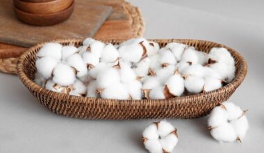 ICE cotton dips on weak export outlook, crude oil decline