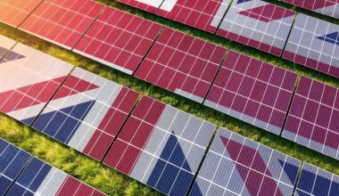 UK throws down gauntlet to Net Zero critics | United Kingdom