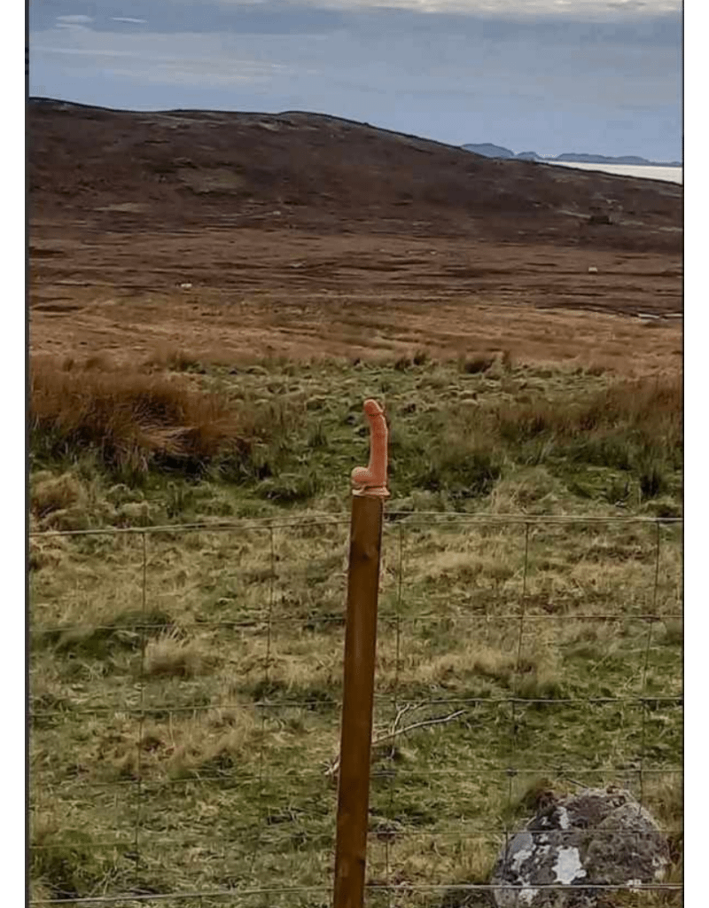 Strange adornment left on top of new deer fence