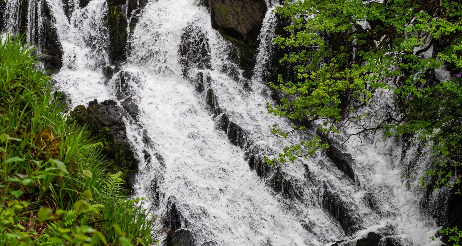I can't wait to get back to hiking, and all of this