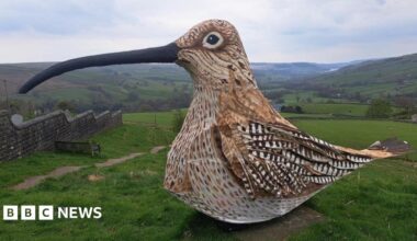 Man sets off on 53-mile walk dressed as a curlew