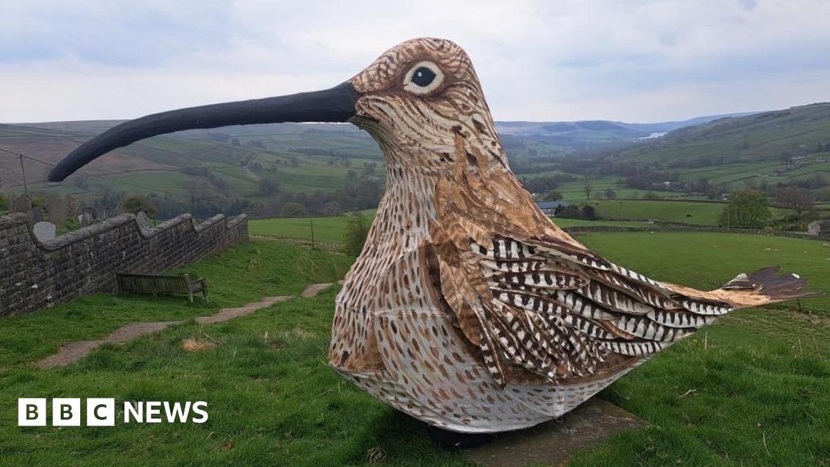 Man sets off on 53-mile walk dressed as a curlew