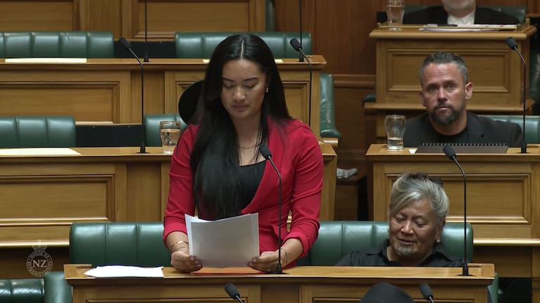 Te Pati Maori MP Hana-Rawhiti Maipi-Clarke speaks during the second reading of the Treaty Principles Bill.