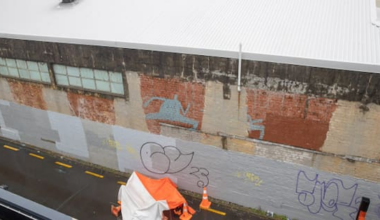 Worker suffers traumatic brain injury after 6m fall from slippery roof