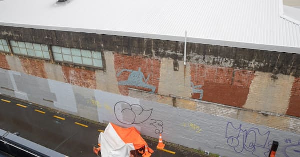 Worker suffers traumatic brain injury after 6m fall from slippery roof