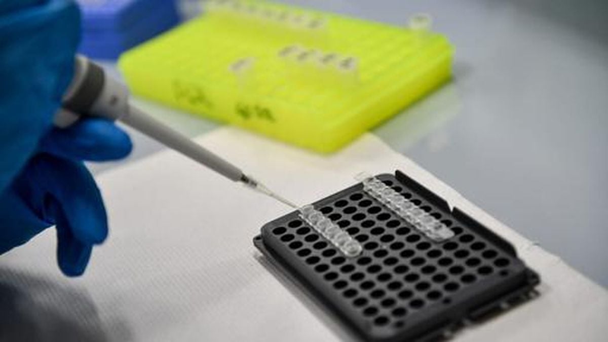 Sperm Donation Scandal Reveals Risk Of Incest In Netherlands